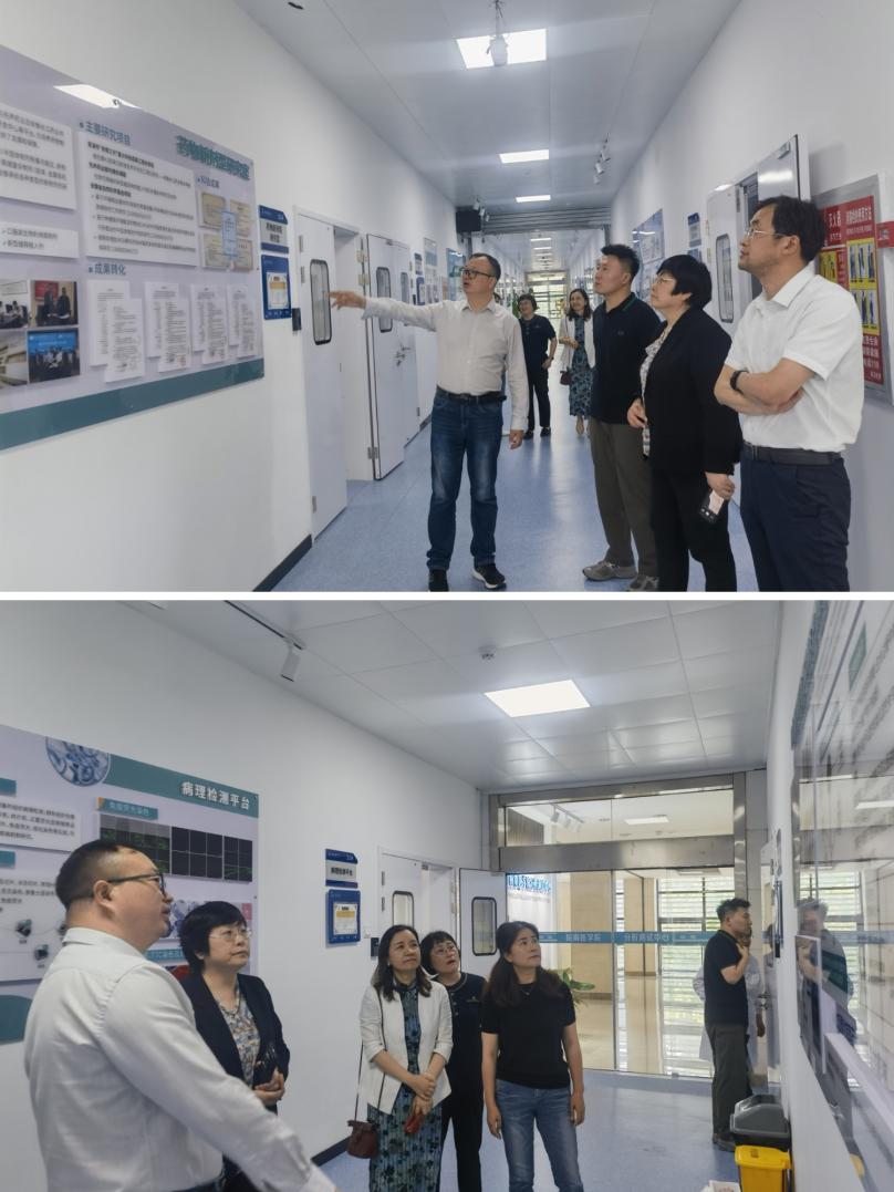 IMG_20250530_150956 IMG_20250530_150956